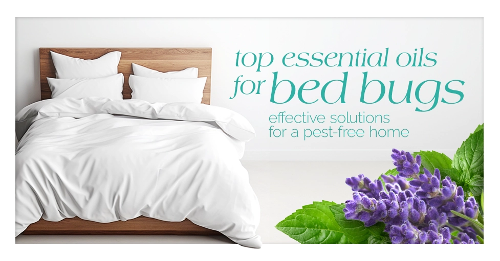 Top Essential Oils for Bed Bugs Effective Solutions for a Pest-Free Home