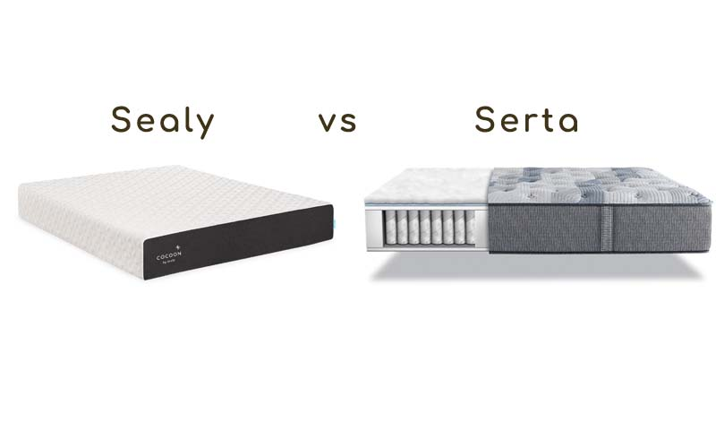 Sealy vs. Serta Mattress Comparison Which One Is Right for You